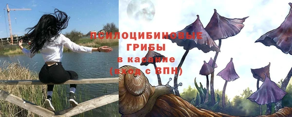 мяу мяу мука Гусев