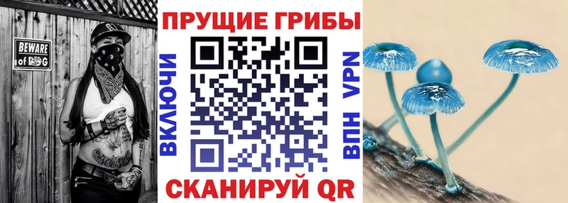 Псилоцибиновые грибы Psilocybine cubensis  Керчь 
